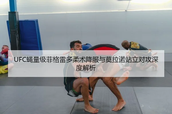 UFC蝇量级菲格雷多柔术降服与莫拉诺站立对攻深度解析