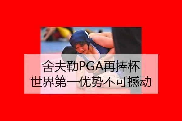 she-fu-lei-zai-peng-bei-shi-jie-di-yi-you-shi-bu-ke-han-dong-3-658.jpg